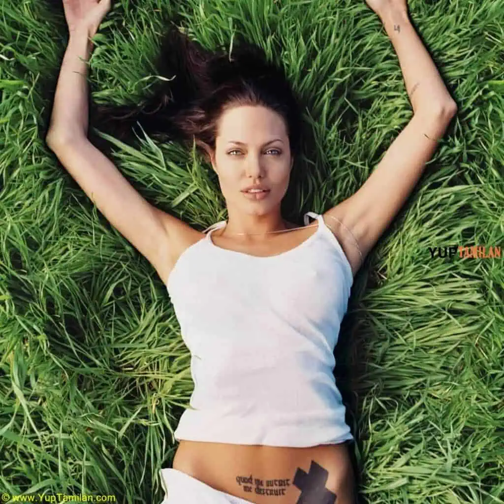 Angelina Jolie Hottest Photos 12