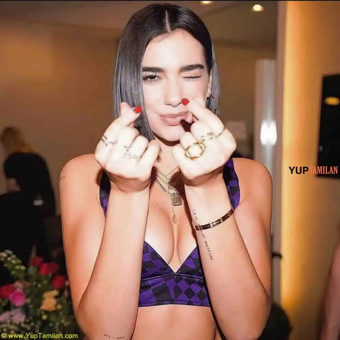 Dua Lipa Hottest Bikini Pictures 15