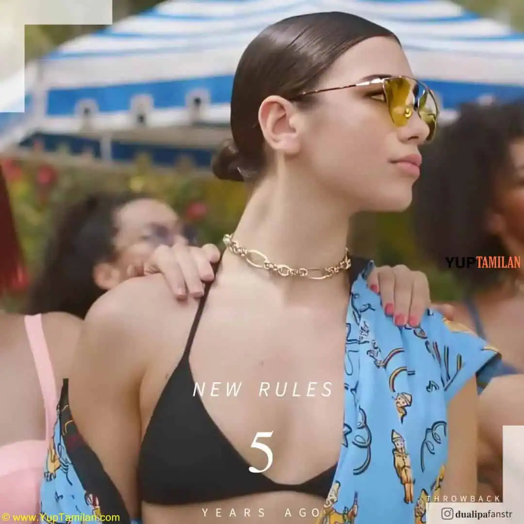 Dua Lipa Hottest Bikini Pictures 19