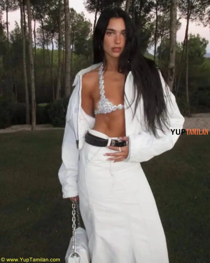 Dua Lipa Hottest Bikini Pictures 82