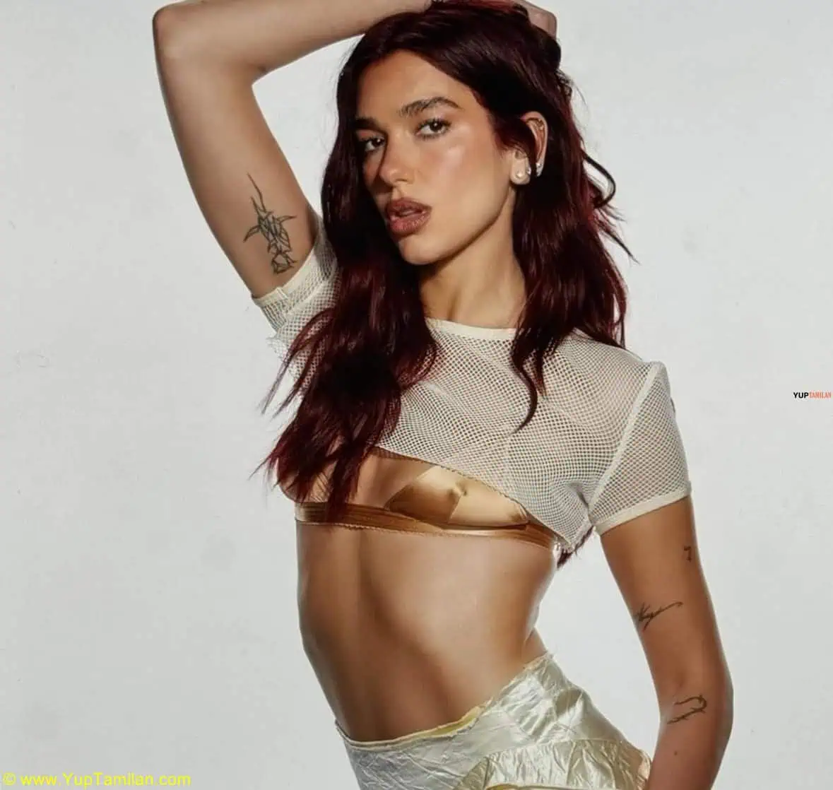 Dua Lipa Hottest Bikini Pictures 93