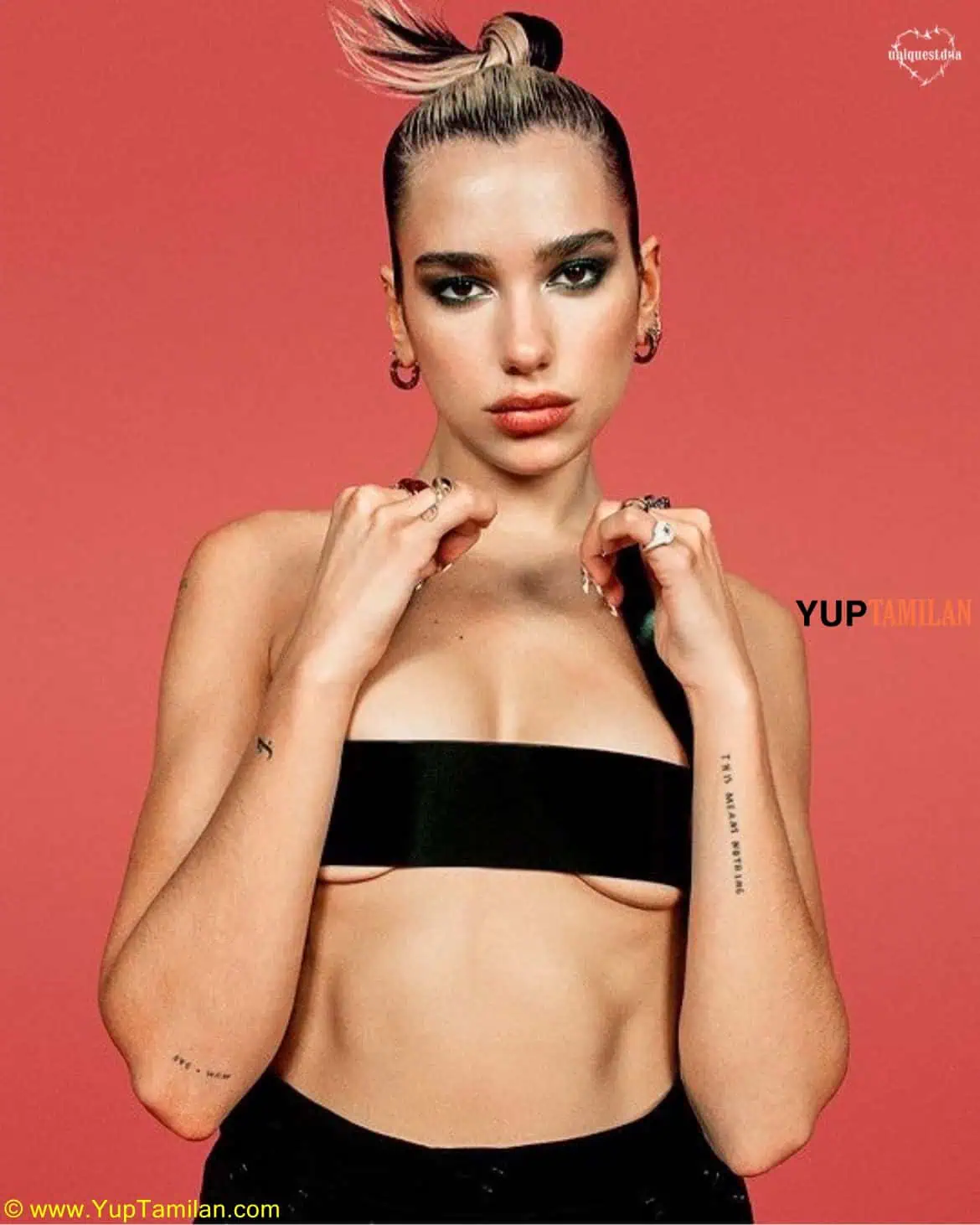 Dua Lipa Hottest Bikini Pictures 95